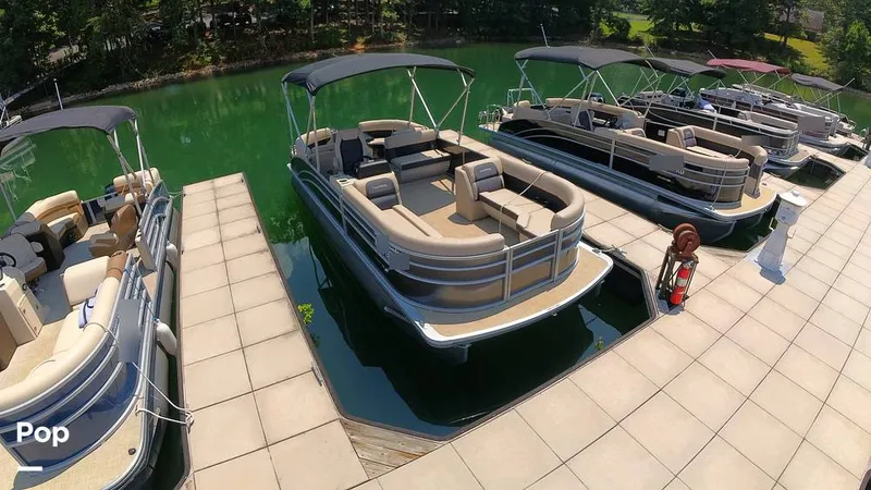 Slide: The Image of Harris 230CR 2024 - 15744916