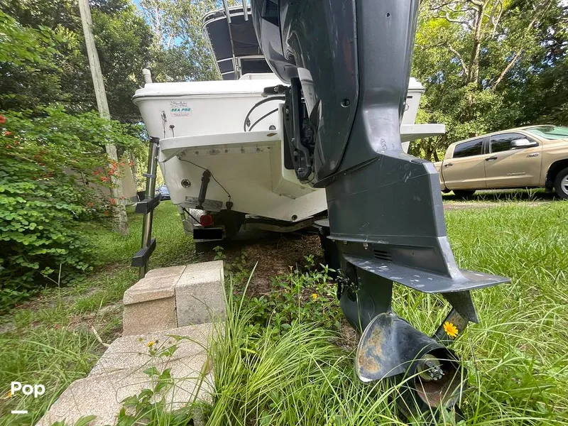 Slide: The Image of Sea Pro 235CC 2003 - 15779935