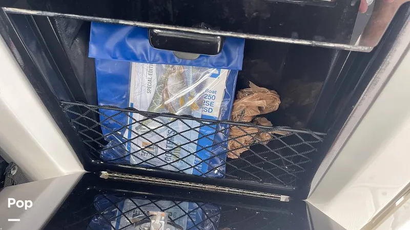 Slide: The Image of Yamaha SX250 2023 - 15797892