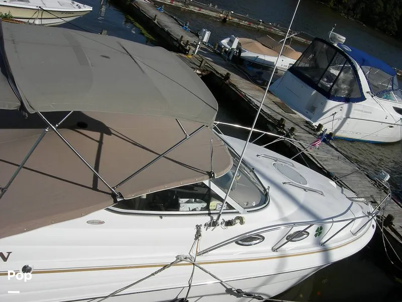 Slide: The Image of Larson 260 Cabrio 2004 - 15737647