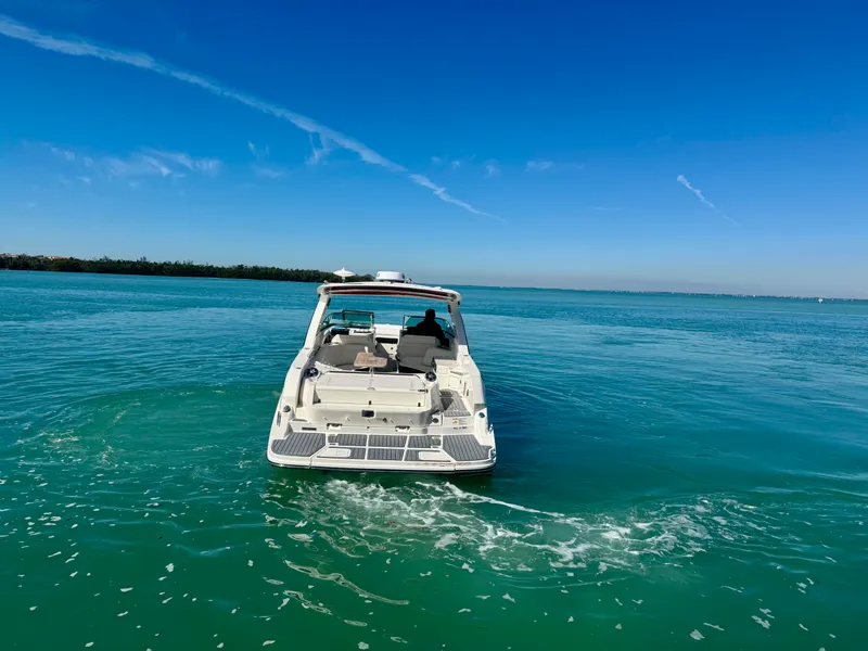 Slide: The Image of Sea Ray 350 SLX 2021 - 13