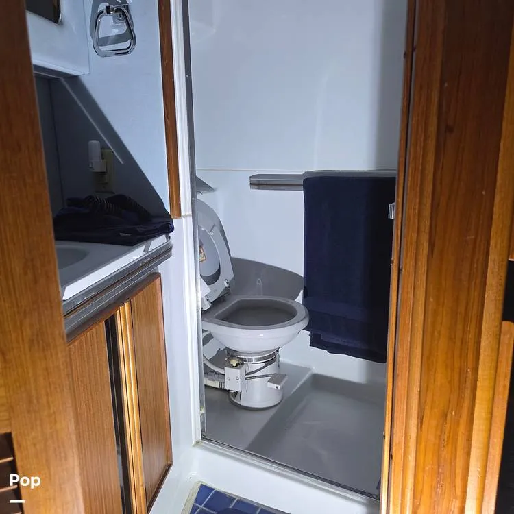 Slide: The Image of Head, Forward - 15786084