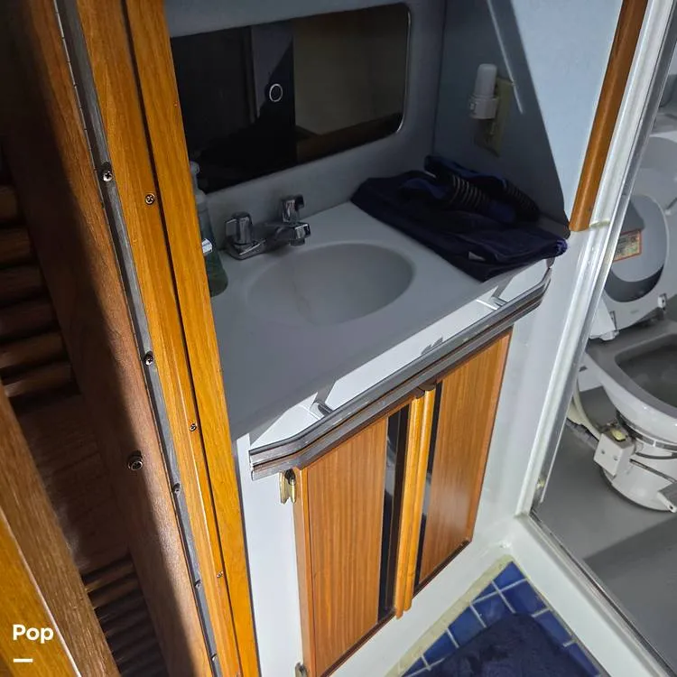 Slide: The Image of Vanity, Forward - 15786088