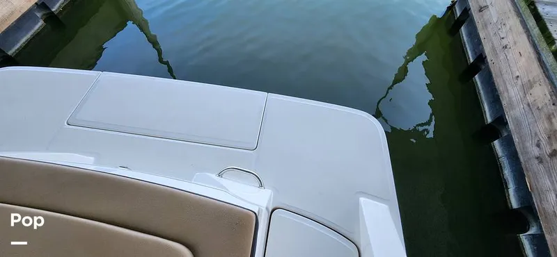 Slide: The Image of Sea Ray SPX 230 2023 - 15735645