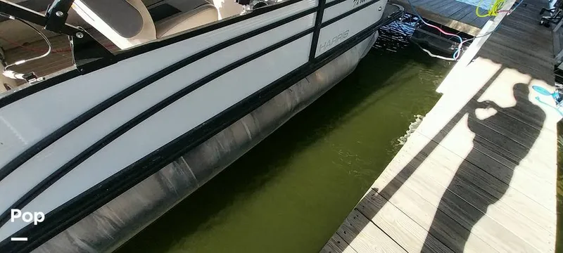 Slide: The Image of Harris HCX23 2023 - 16002055