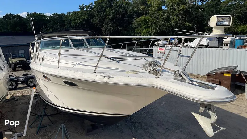 The Image of Sea Ray 370 Express Cruiser 1994 - 15892228