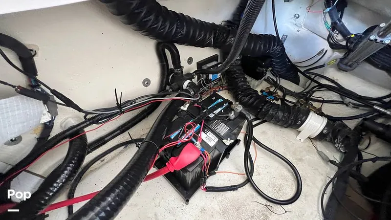 Slide: The Image of Regal 2800 2020 - 15770684