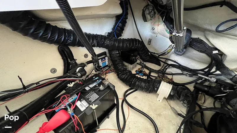 Slide: The Image of Regal 2800 2020 - 15770689