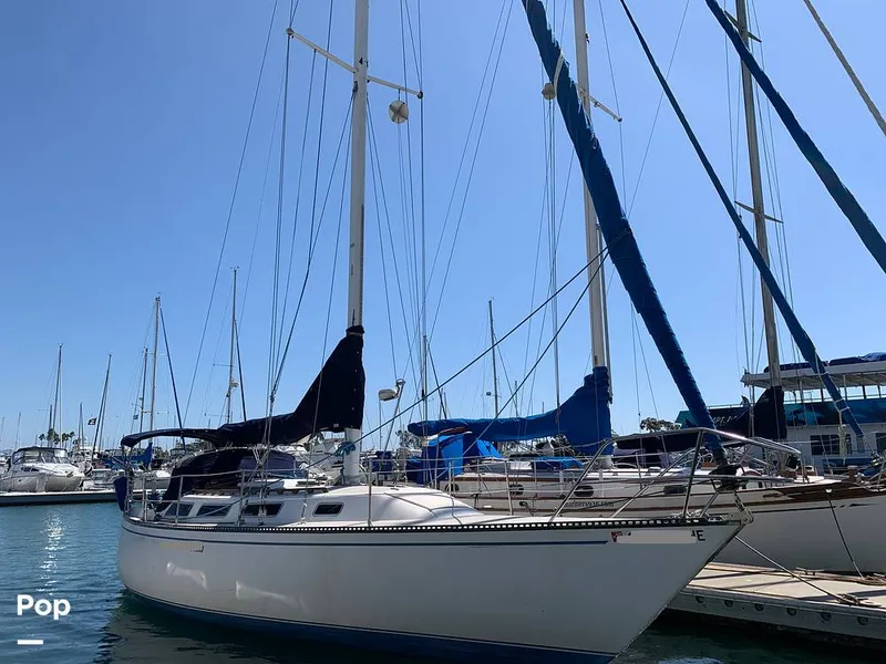 Slide: The Image of Catalina 38 1983 - 15923954