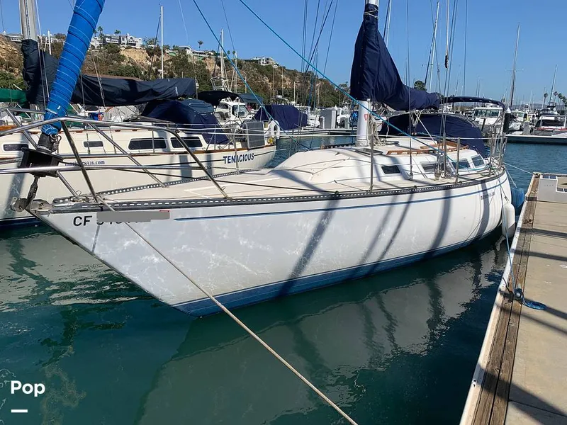 Slide: The Image of Catalina 38 1983 - 15923967