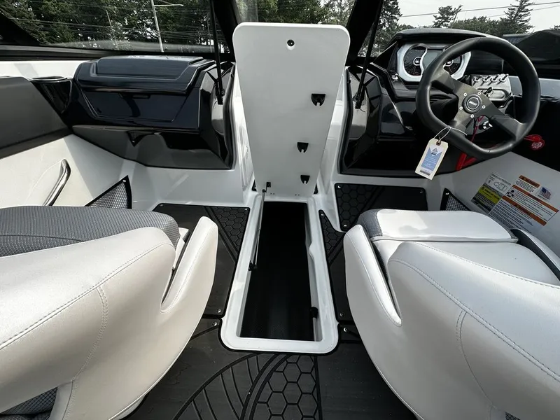 Slide: The Image of Scarab 195 ID 2024 - 14