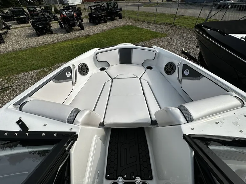 Slide: The Image of Scarab 195 ID 2024 - 15