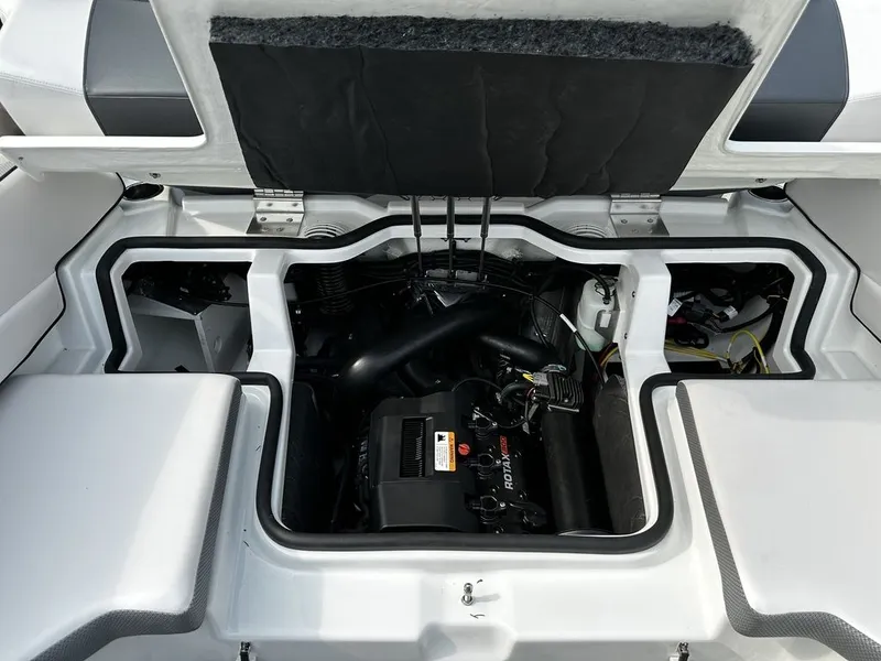 Slide: The Image of Scarab 195 ID 2024 - 17