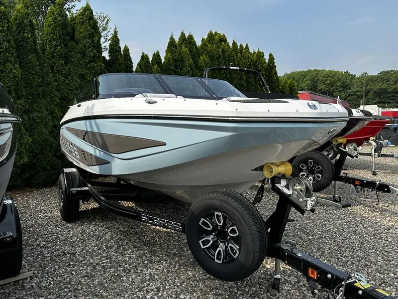 Slide: The Image of Scarab 195 ID 2024 - 2