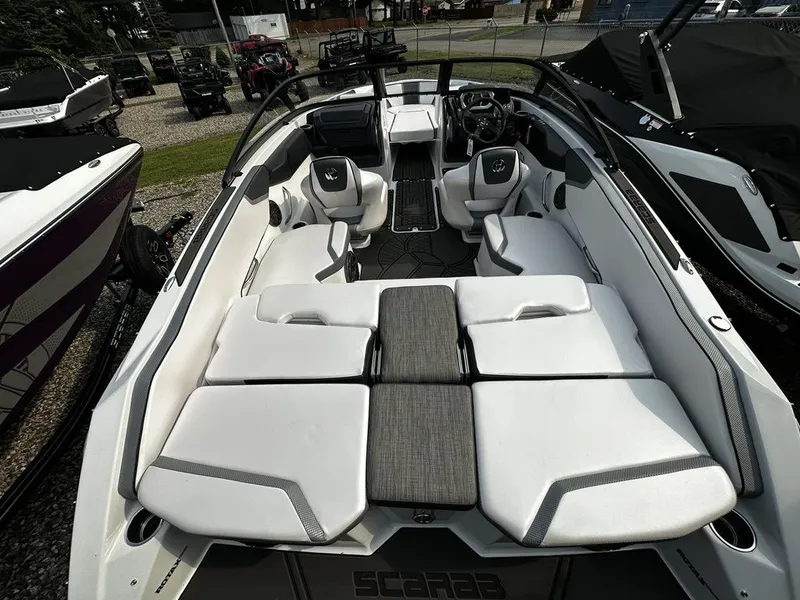 Slide: The Image of Scarab 195 ID 2024 - 5