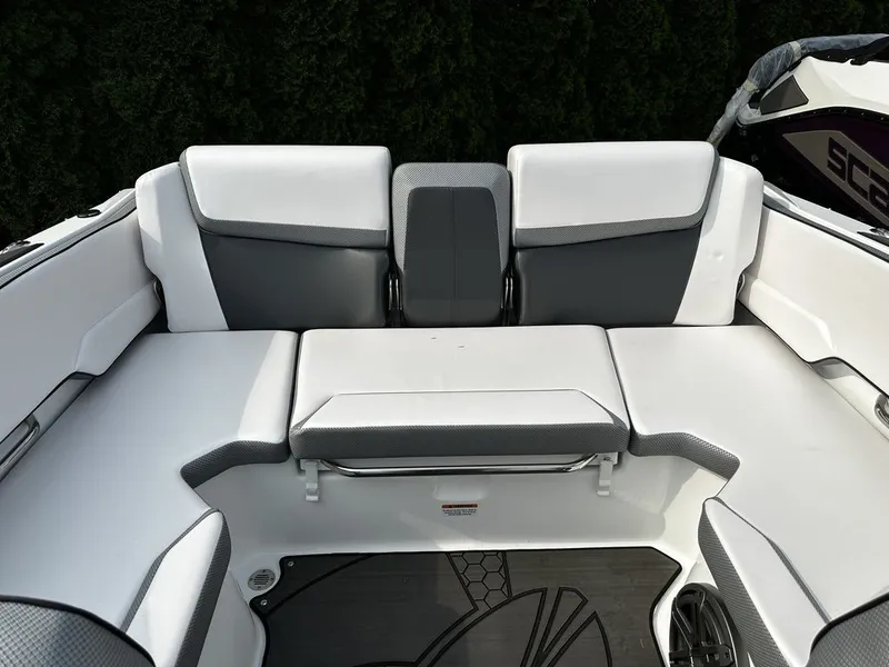 Slide: The Image of Scarab 195 ID 2024 - 6