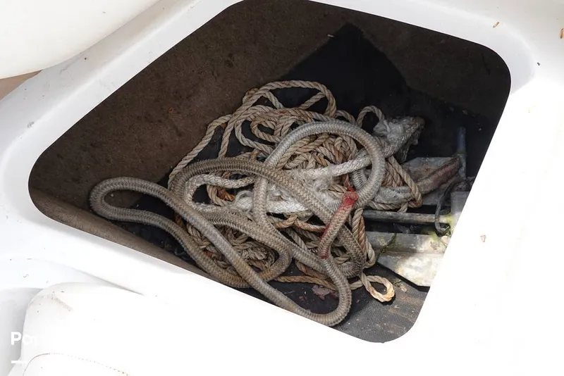 Slide: The Image of Cobalt 272 2008 - 16318243