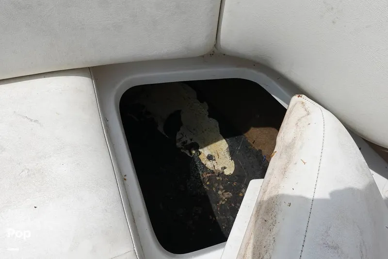 Slide: The Image of Cobalt 272 2008 - 16318244