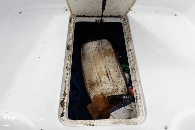 Slide: The Image of Cobalt 272 2008 - 16318251