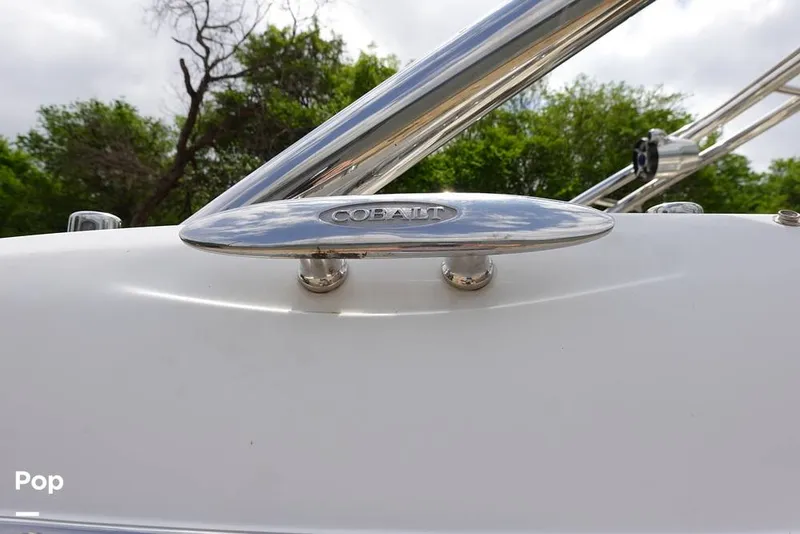 Slide: The Image of Cobalt 272 2008 - 16318128