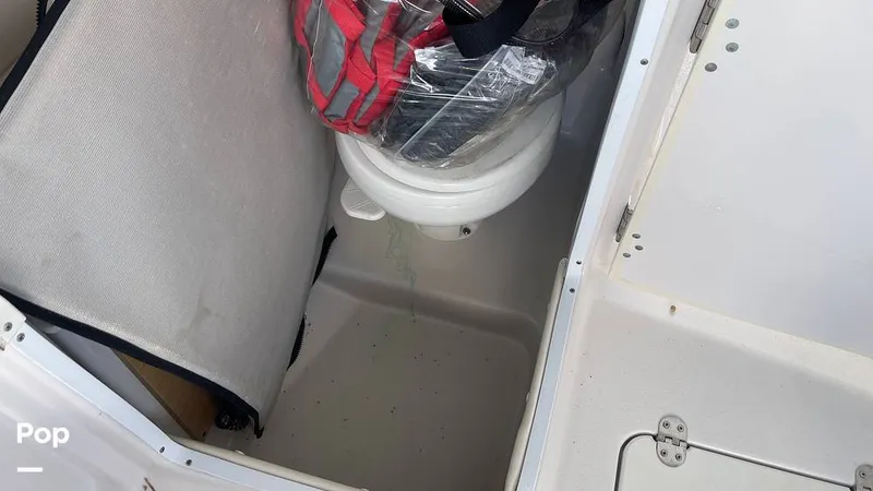 Slide: The Image of Head - 15881049