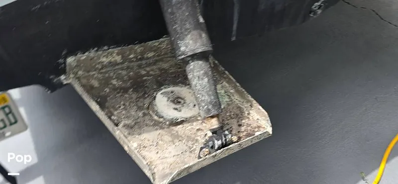 Slide: The Image of Century 22CC 2005 - 15767831