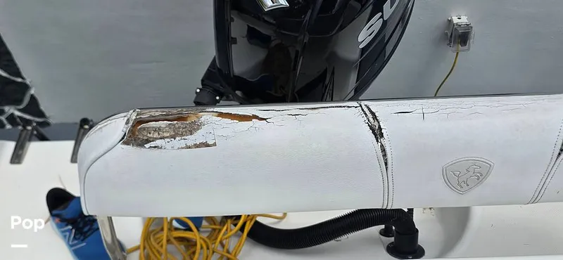 Slide: The Image of Century 22CC 2005 - 15767844