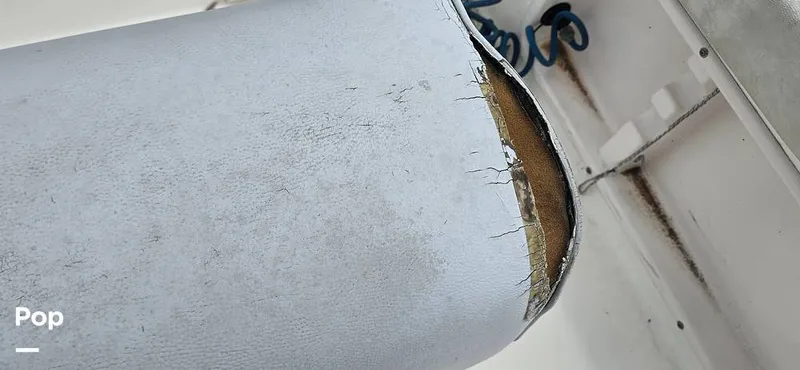 Slide: The Image of Century 22CC 2005 - 15767851