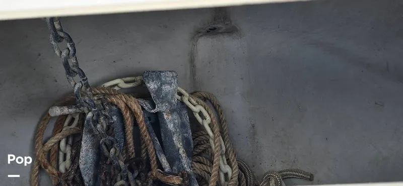 Slide: The Image of Century 22CC 2005 - 15767870