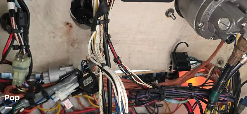 Slide: The Image of Century 22CC 2005 - 15767876