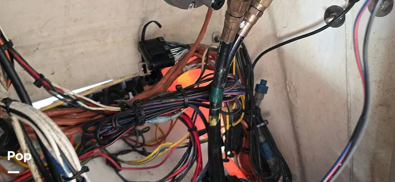 Slide: The Image of Century 22CC 2005 - 15767877