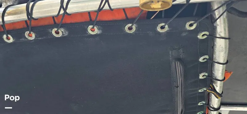 Slide: The Image of Century 22CC 2005 - 15767883