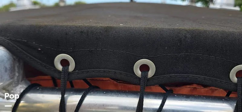 Slide: The Image of Century 22CC 2005 - 15767888