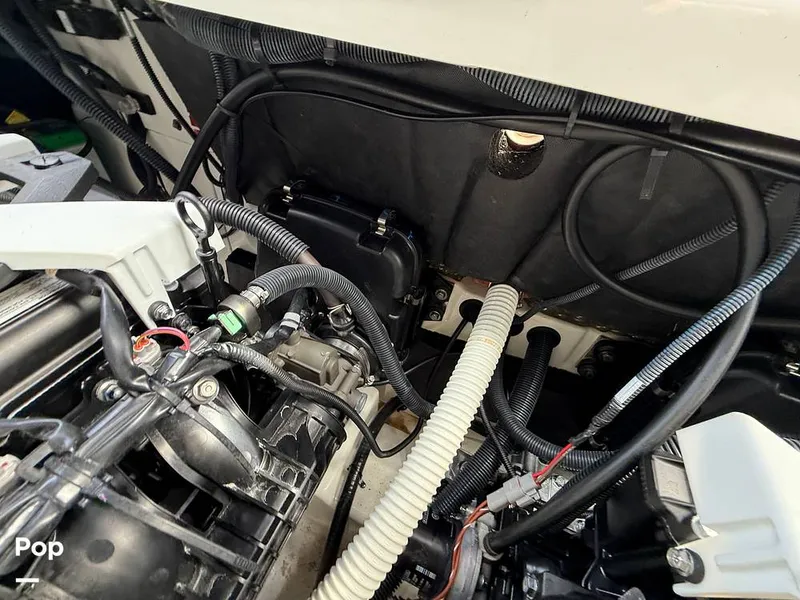 Slide: The Image of Yamaha 252se 2024 - 16004565