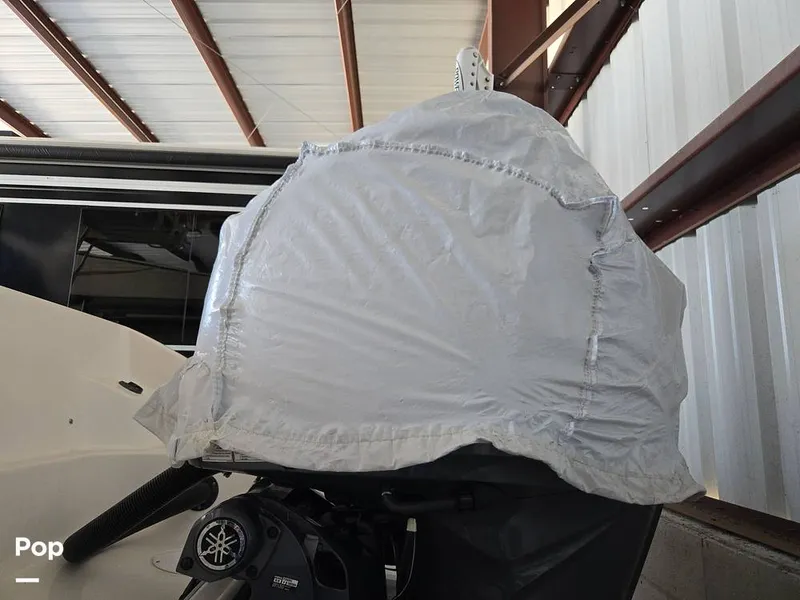 Slide: The Image of Pro-Line 23 Sport 2004 - 15806562