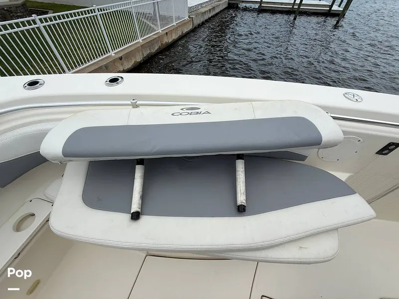 Slide: The Image of Cobia 301 CC 2018 - 15794774