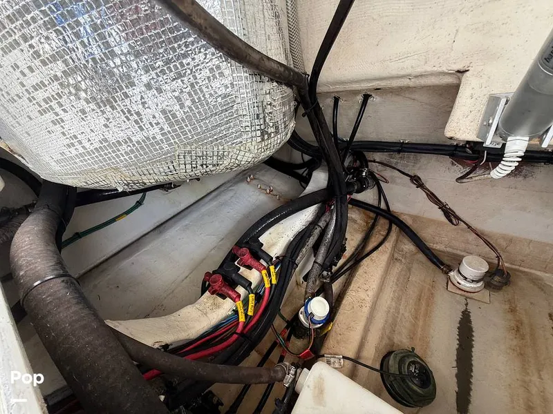 Slide: The Image of Cobia 301 CC 2018 - 15794779