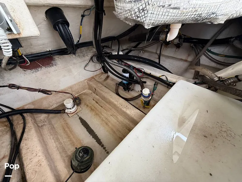 Slide: The Image of Cobia 301 CC 2018 - 15794780