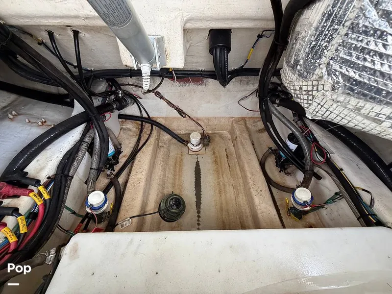 Slide: The Image of Cobia 301 CC 2018 - 15794781