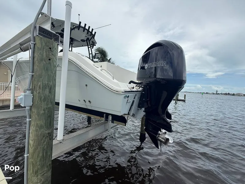 Slide: The Image of Cobia 301 CC 2018 - 15794662