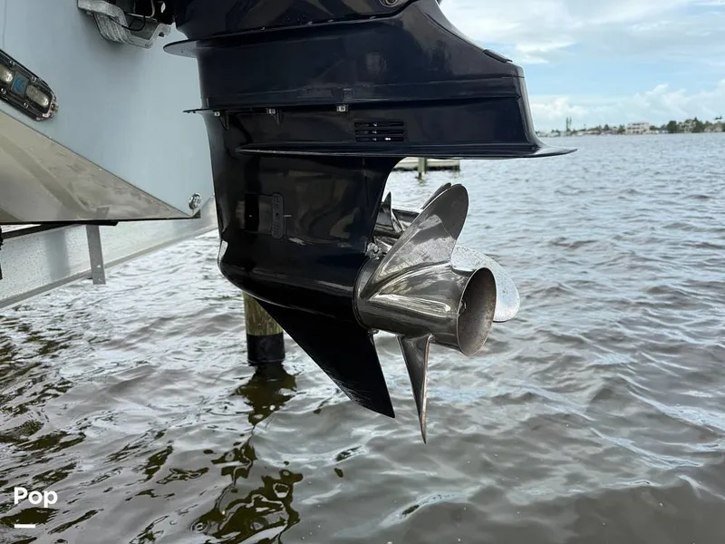 Slide: The Image of Cobia 301 CC 2018 - 15794684