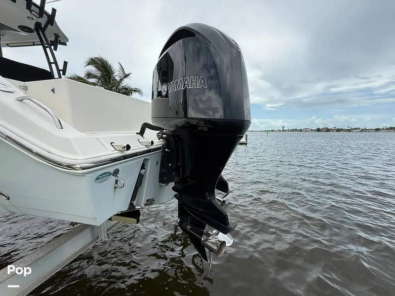 Slide: The Image of Cobia 301 CC 2018 - 15794685