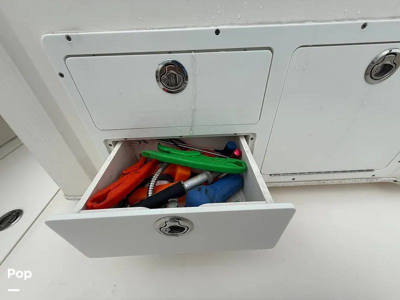 Slide: The Image of Cobia 301 CC 2018 - 15794721