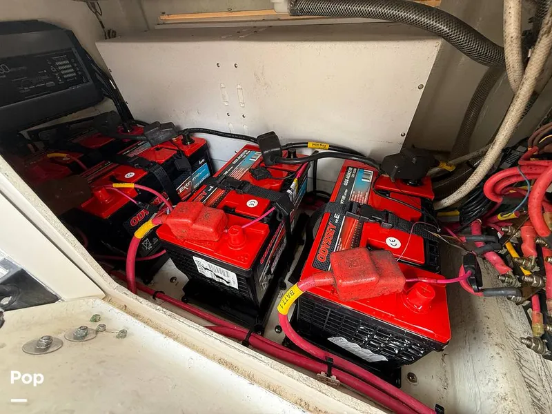 Slide: The Image of Cobia 301 CC 2018 - 15794734