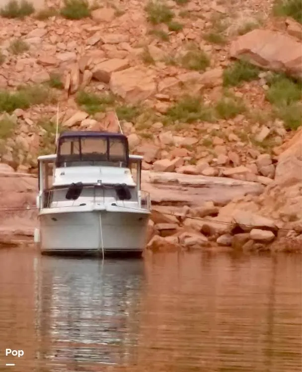 Slide: The Image of Carver Yachts 440 1995 - 15905052