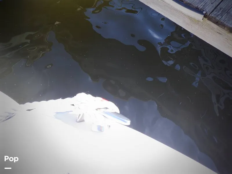 Slide: The Image of Sea Ray 340 Sundancer 2001 - 15809924