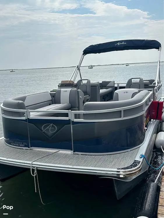 Slide: The Image of Avalon 2585 Quad Lounger 2024 - 15780825