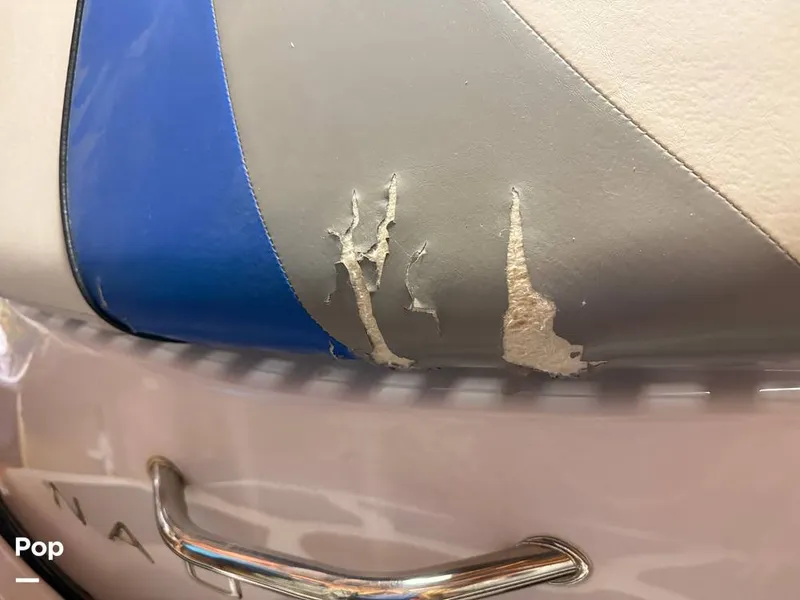 Slide: The Image of Air Nautique 210 Team Edition 2005 - 15996477