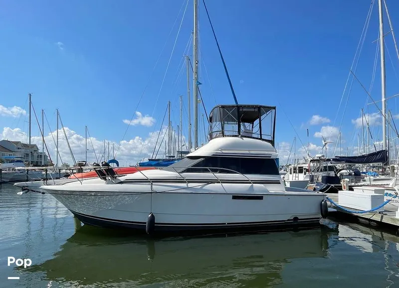 The Image of Silverton 34 Convertible 1991 - 15787926