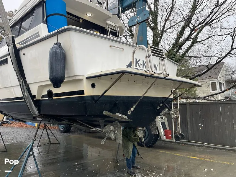 Slide: The Image of Silverton 34 Convertible 1991 - 16236515